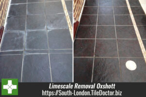 Removing Limescale from Porcelain Swimming Pool tiles in Oxshott