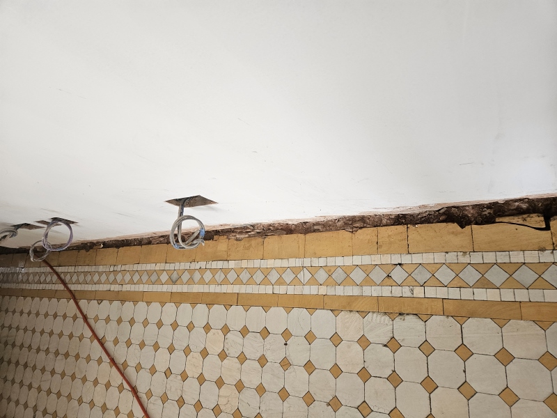 Neglected Victorian Tiled Floor Before Restoration Kensington